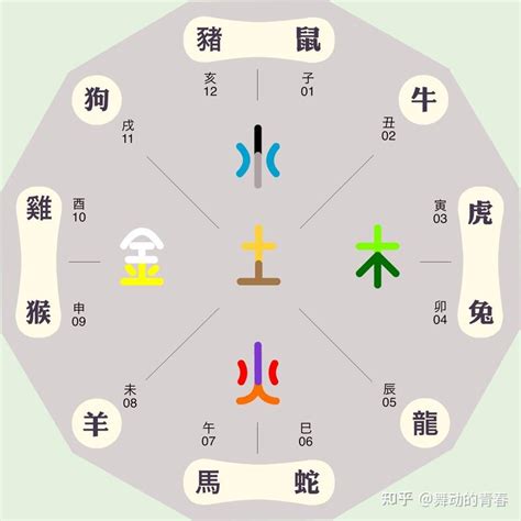 屬虎五行屬什麼|生肖與五行之間的關係 